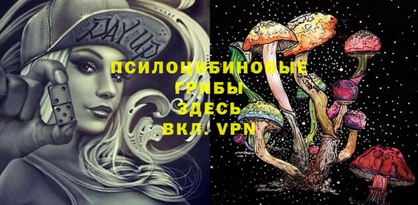 бошки Рославль