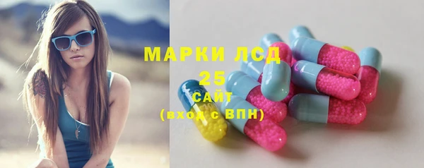 гашик Всеволожск