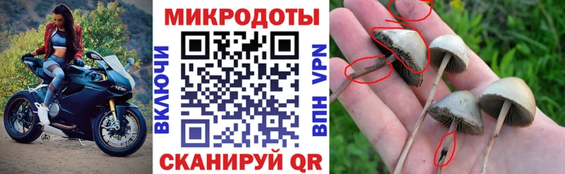 Псилоцибиновые грибы ЛСД  Кыштым 