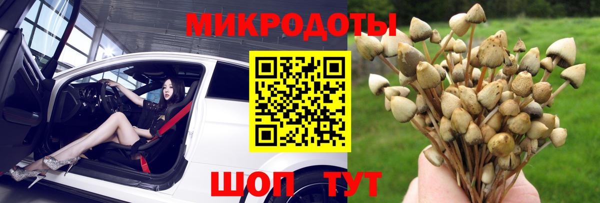 Псилоцибиновые грибы ЛСД Кыштым