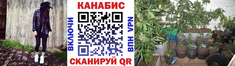 Конопля план Кыштым